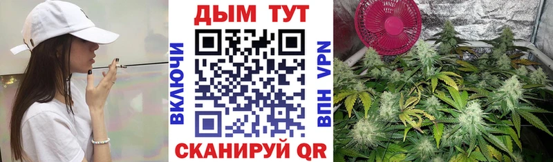 Все наркотики Менделеевск Бошки Шишки 
