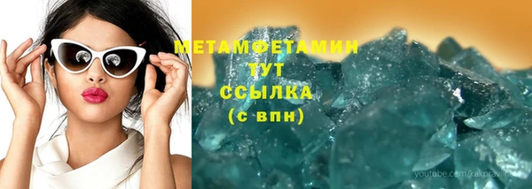 прущие грибы Беломорск