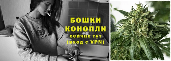 бошки Богданович