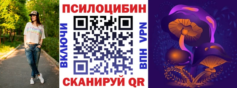 Псилоцибиновые грибы MAGIC MUSHROOMS  где продают   Менделеевск 